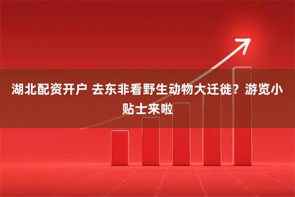 湖北配资开户 去东非看野生动物大迁徙？游览小贴士来啦