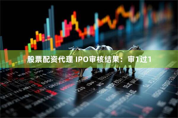 股票配资代理 IPO审核结果：审1过1